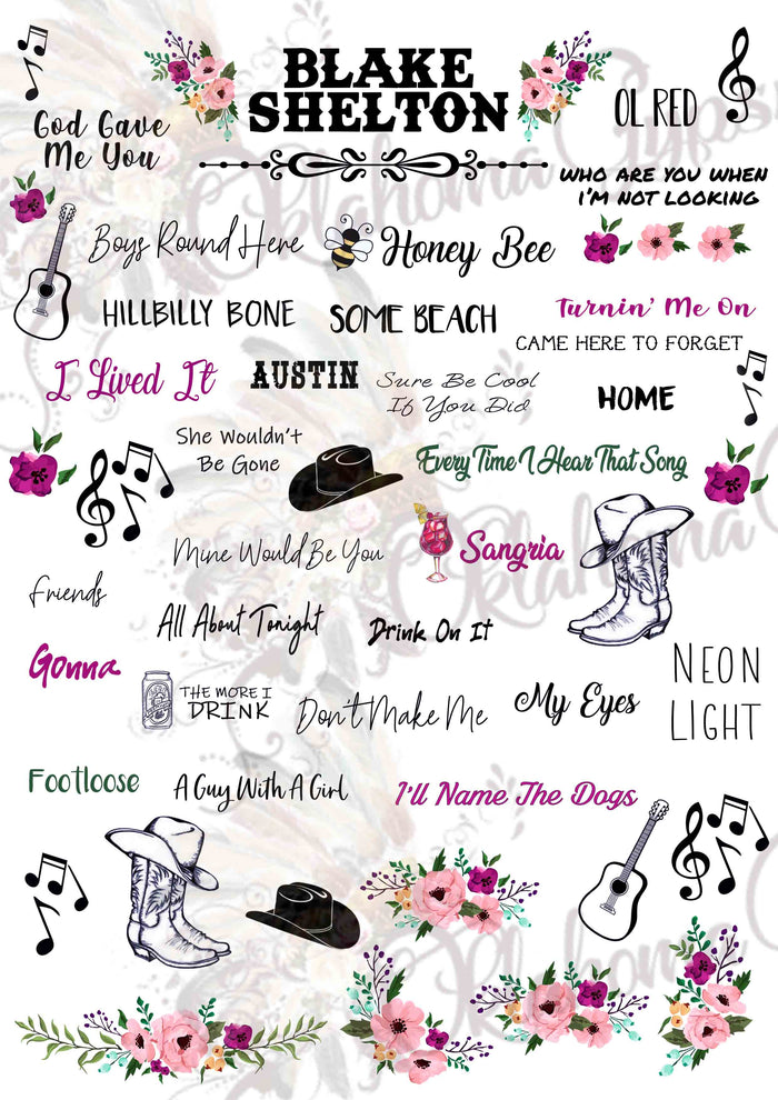 Blake Shelton Inspired Top Hits Digital File