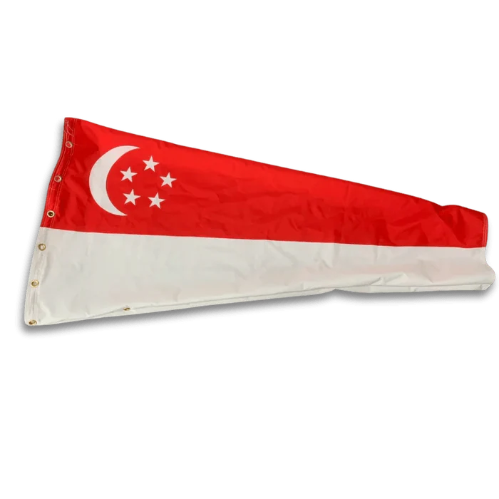Singapore / 6" x 24"