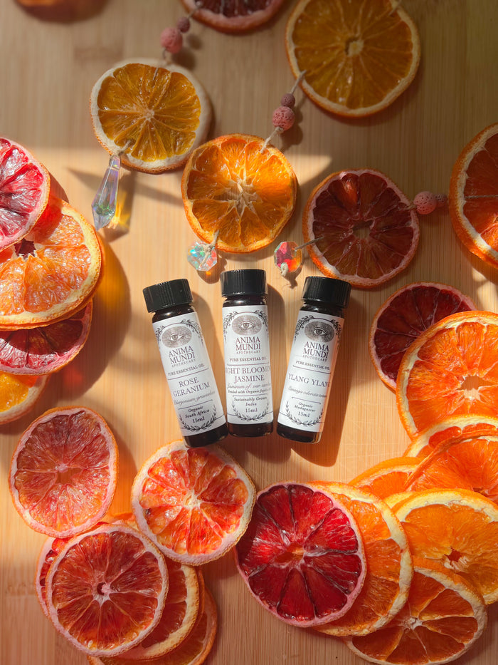ROSE GERANIUM Essential Oil | Organic