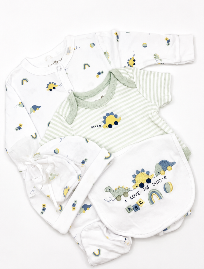 5pc I Love Dinos Onesie Set