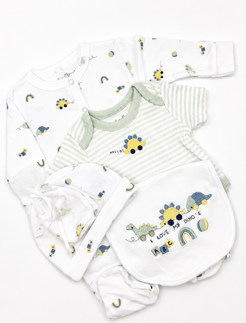 5pc I Love Dinos Onesie Set