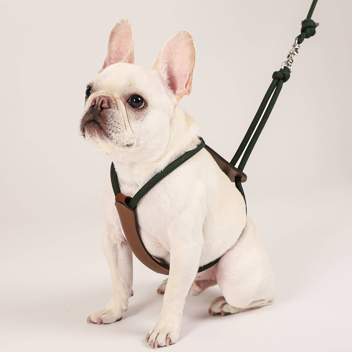 Hozi - Essential Harness - Deep Green