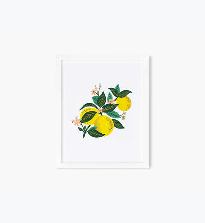 Lemon Blossom Art Print