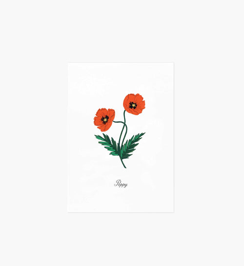 Birth Month Art Print - August
