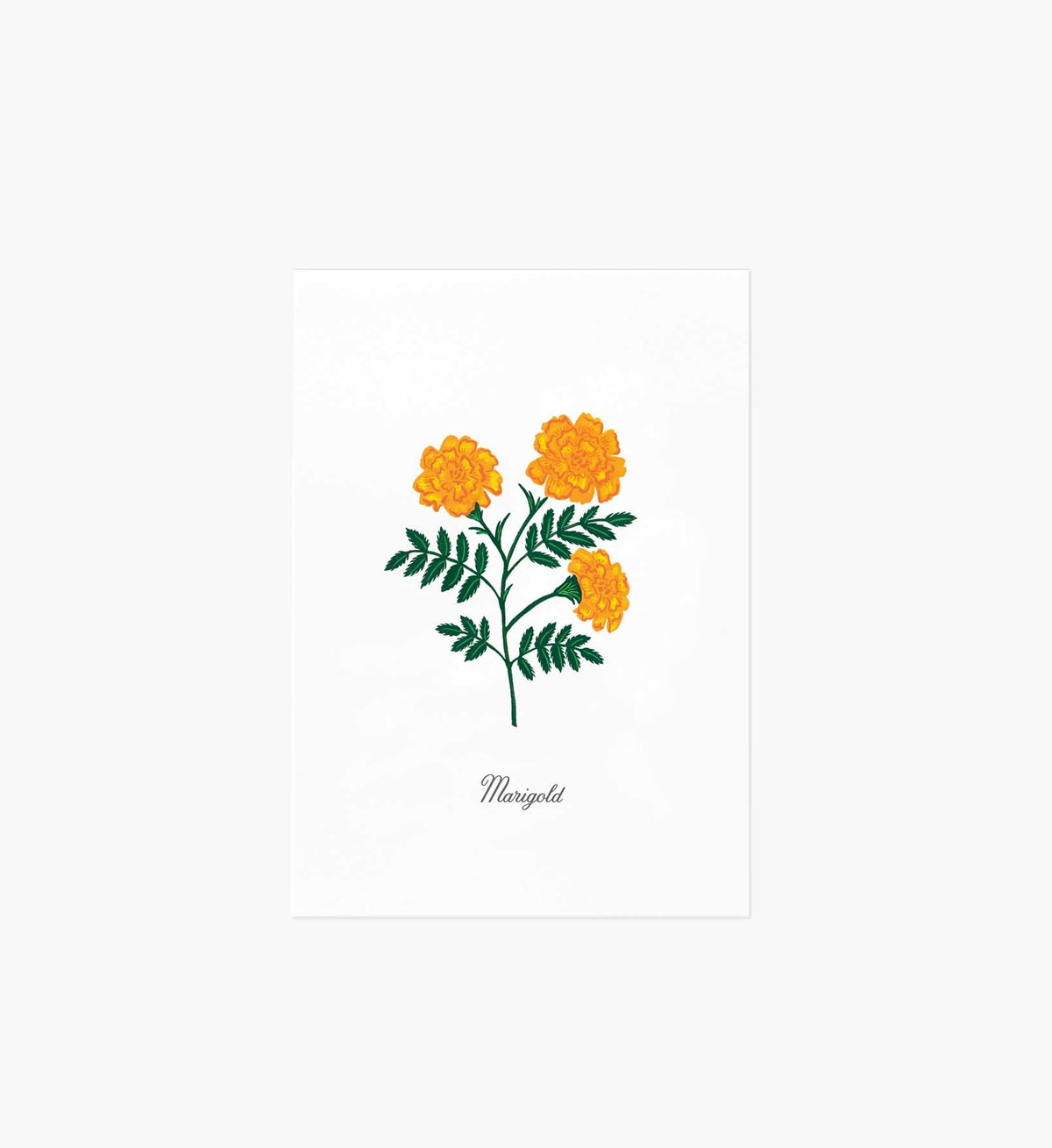 Birth Month Art Print - October
