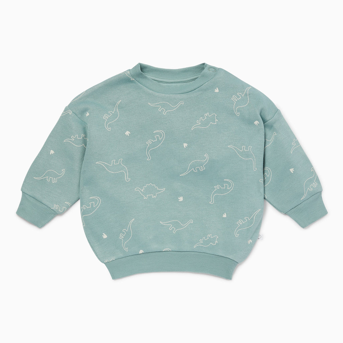 Dino Print Sweatshirt & Joggers Outfit