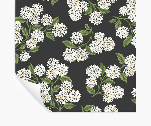 Hydrangea Peel & Stick Wallpaper - Black & White