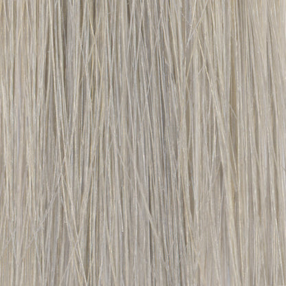 10.1 Lightest Blonde Ash