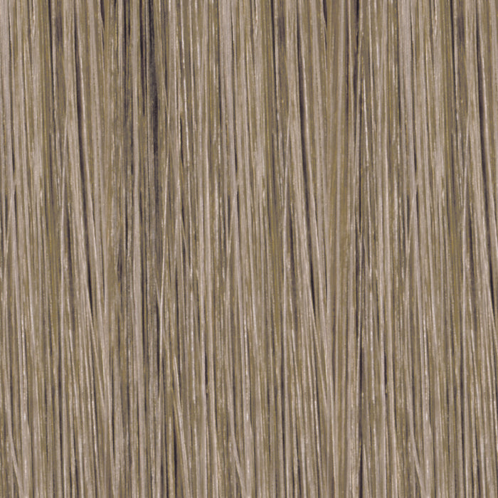 10.13 Lightest Blonde Ash Gold