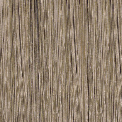 10.13 Lightest Blonde Ash Gold