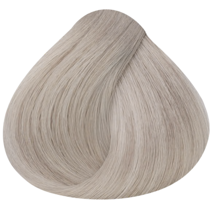 10.1 Lightest Ash Blonde