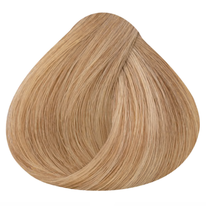 9.3 Very Light Golden Blonde