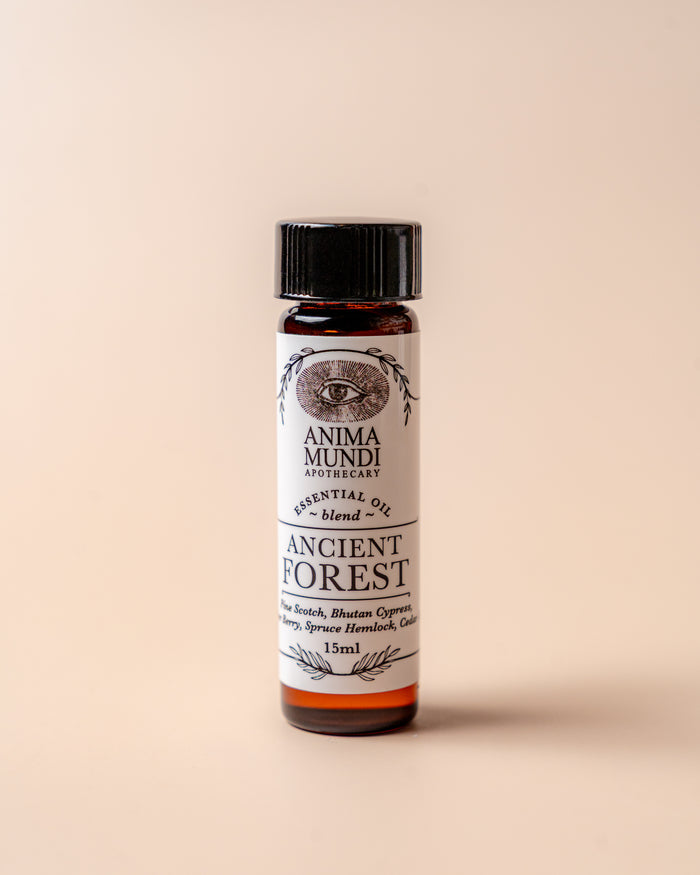 ANCIENT FOREST Essential Oil Blend