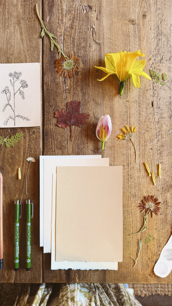 Stationery items including cards and markers on a wooden surface with pressed flowers.