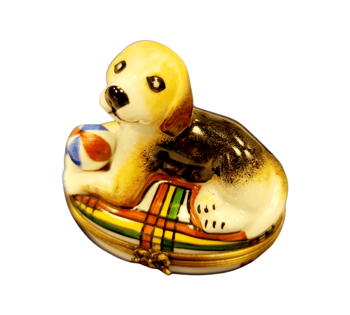 Beagle Dog Limoges Box Figurine Porcelain Limoges dog beach limoges box French Trinket Box