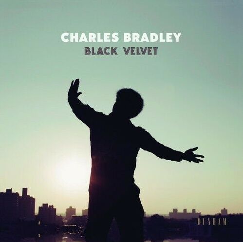 Black Velvet