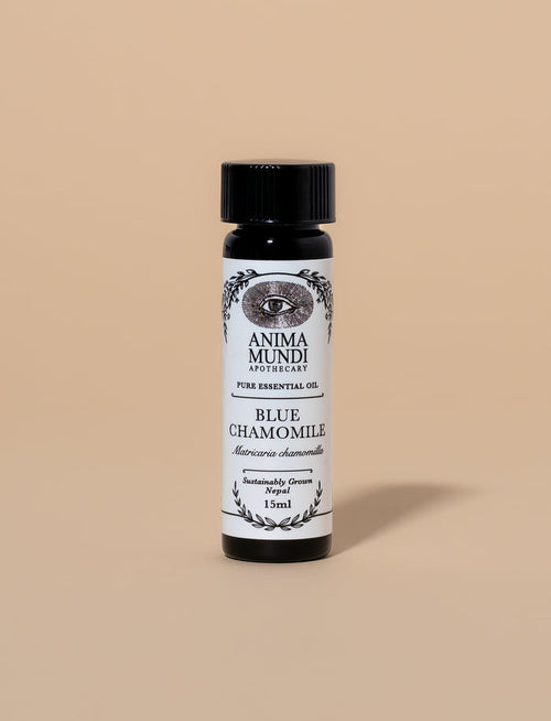 BLUE CHAMOMILE Essential Oil | Sustainably Cultivated