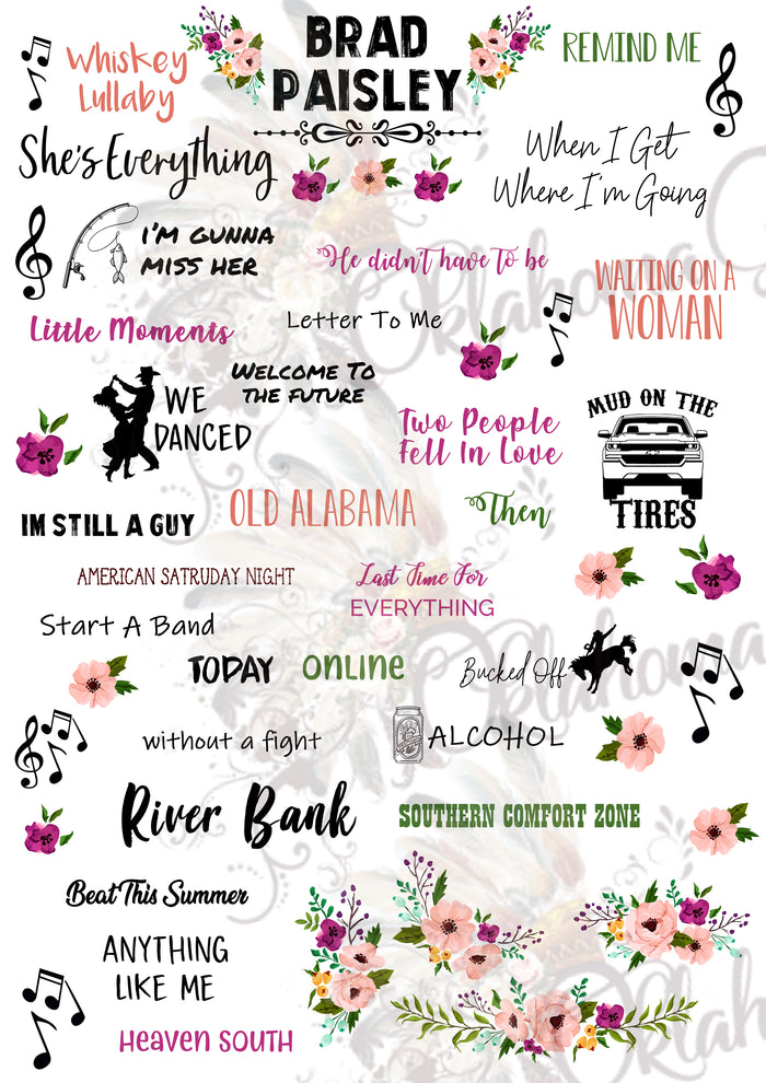 Brad Paisley Inspired Top Hits Digital File