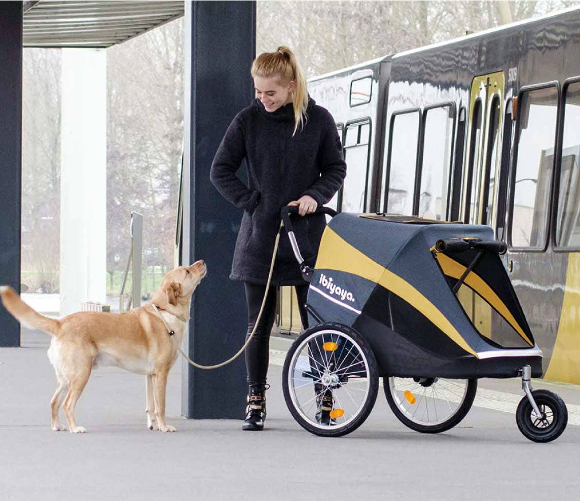 Ibiyaya - Hercules Heavy-Duty Pet Stroller-Bike Trailer, All-Terrain