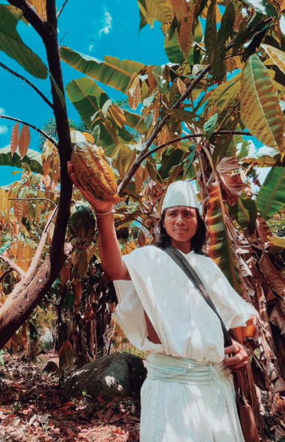 Person in traditional attire holding a cacao pod in a cacao tree