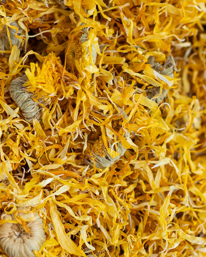 Close-up of dried saffron threads