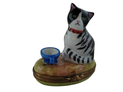 Cat with a Blue Cup Porcelain Limoges Box