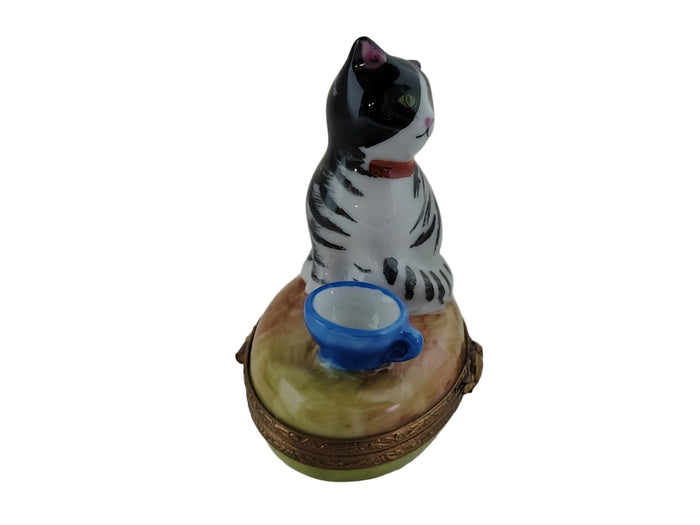 Cat with a Blue Cup Porcelain Limoges Box