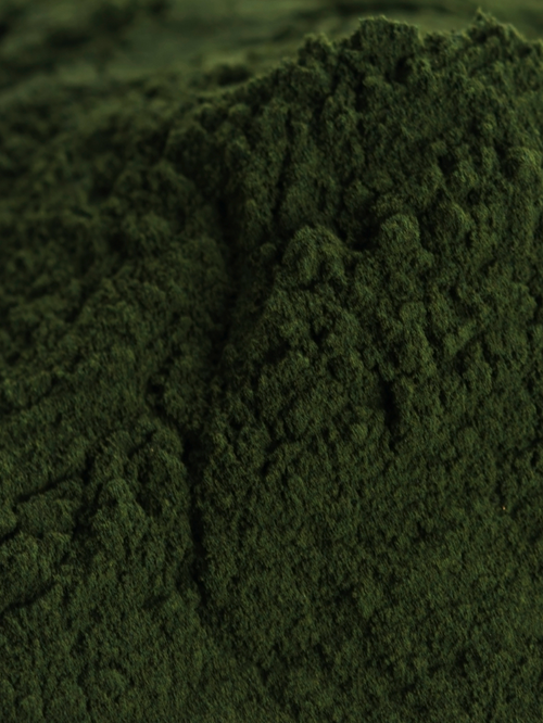 Chlorella, Organic 4 oz BULK BAG