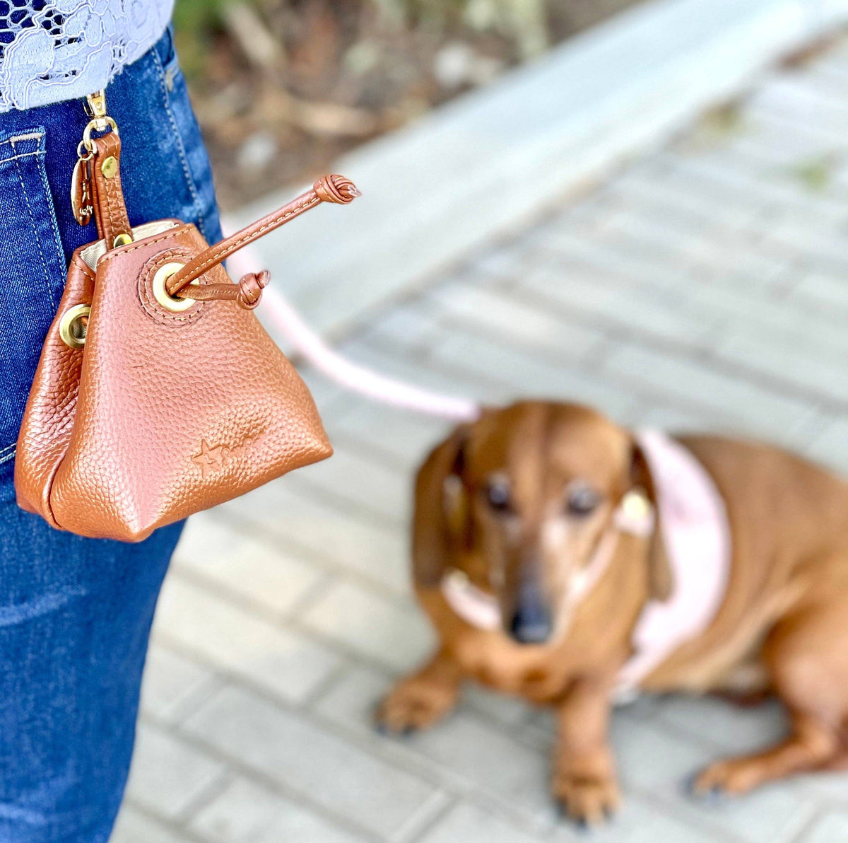 PoisePup - TREAT BAG - BELLA ROSE