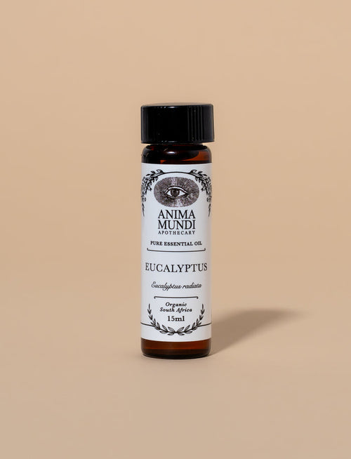EUCALYPTUS Essential Oil | Organic