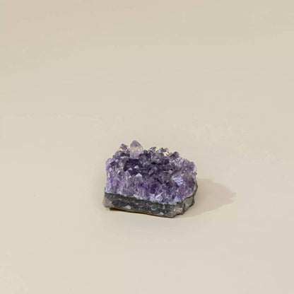 Collectible Mineral - Amethyst Cluster