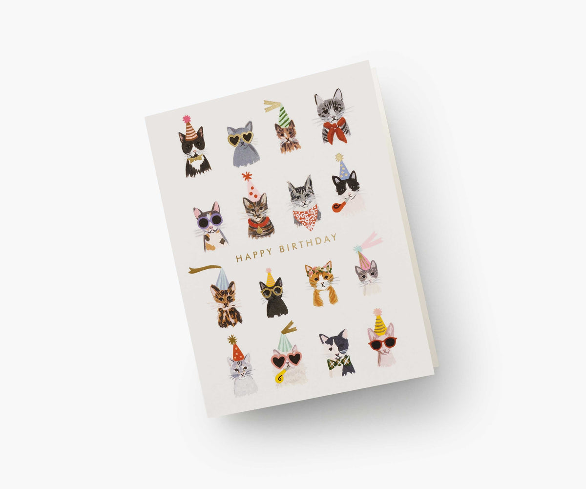 Cool Cats Birthday Cards - Boxed Set