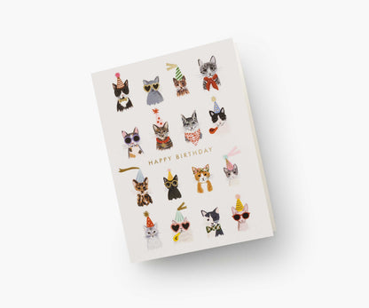 Cool Cats Birthday Cards - Boxed Set