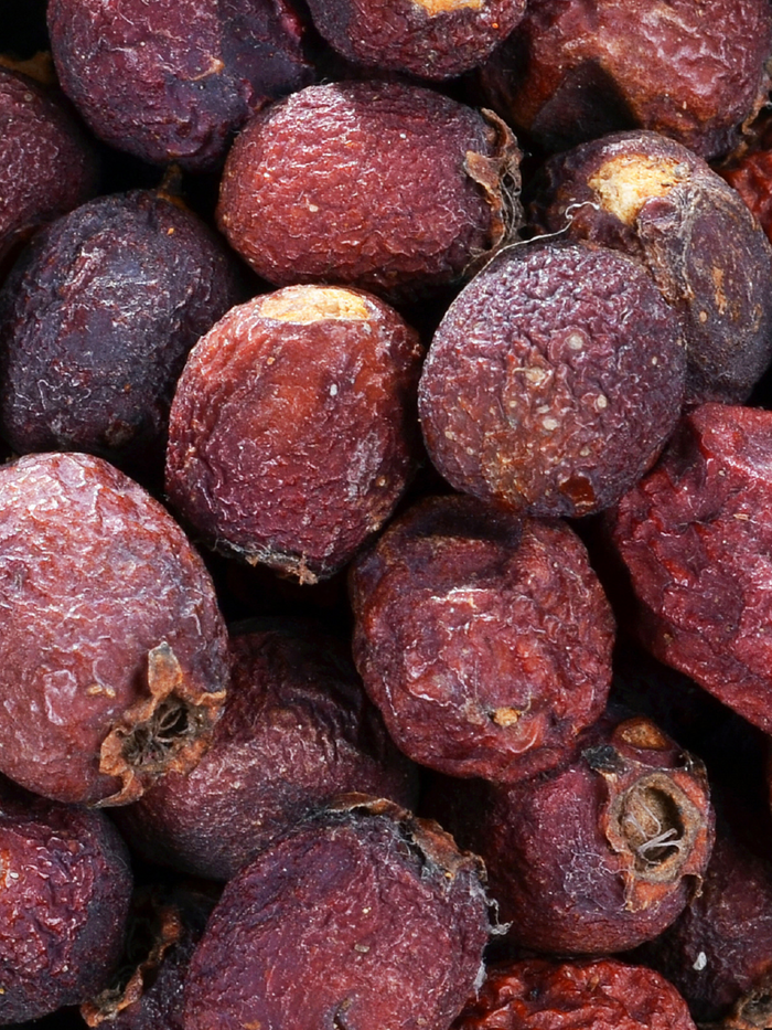 Hawthorn Berries, Organic 4 oz BULK BAG
