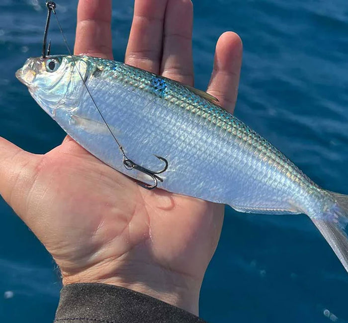 JUJU Stinger Rig