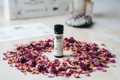 LUCID DREAM Essential Oil Blend