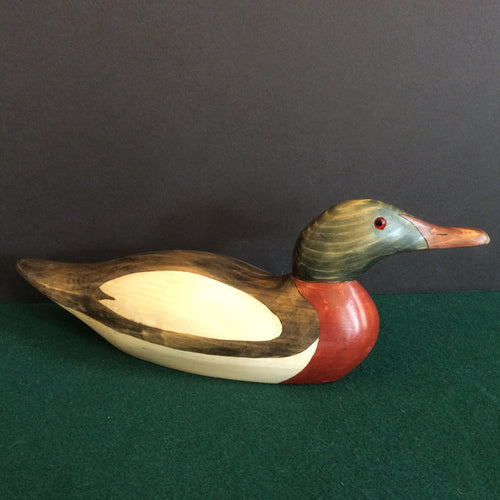 Mason Merganser,