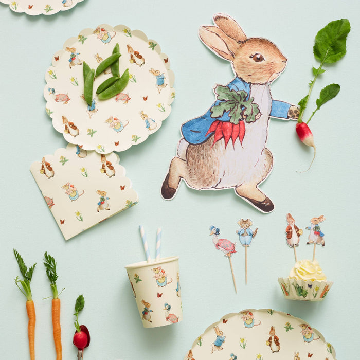 Meri Meri Peter Rabbit Plates