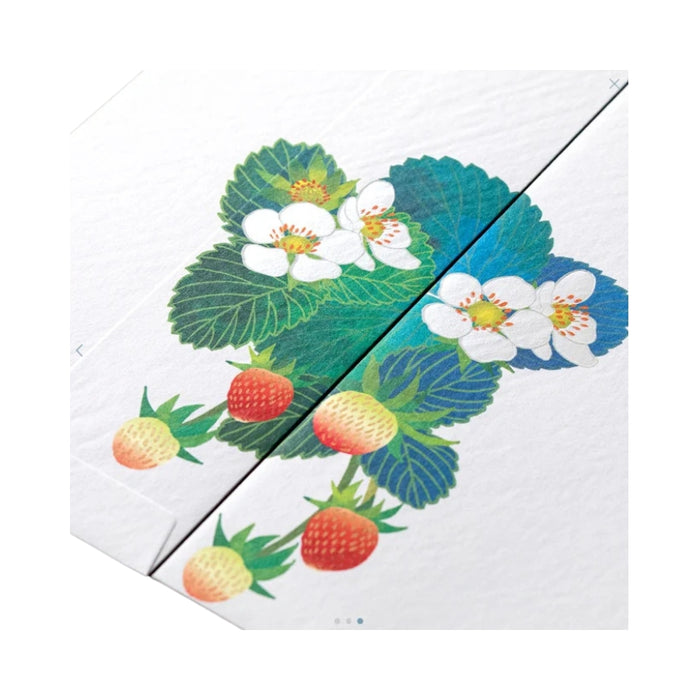 Midori Seasonal Envelopes - Strawberry (020)