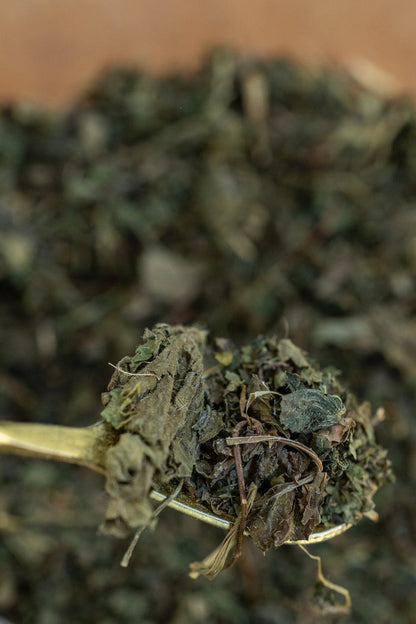 Close-up of dried cannabis buds on a wooden surface