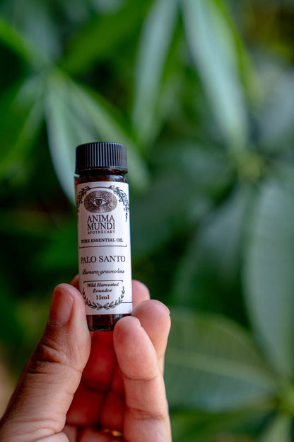 Hand holding a bottle of Anima Mundi Palo Santo essential oil against a green leafy background