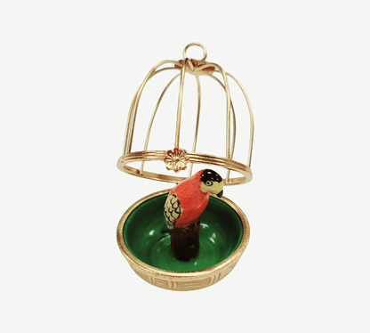 Charming Parrot Limoges Box Porcelain Limoges birds LIMOGES BOXES French Trinket Box