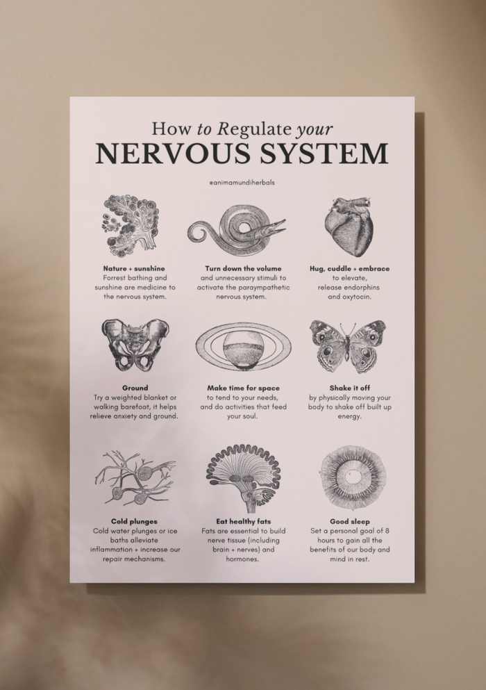 POSTERS By Anima Mundi