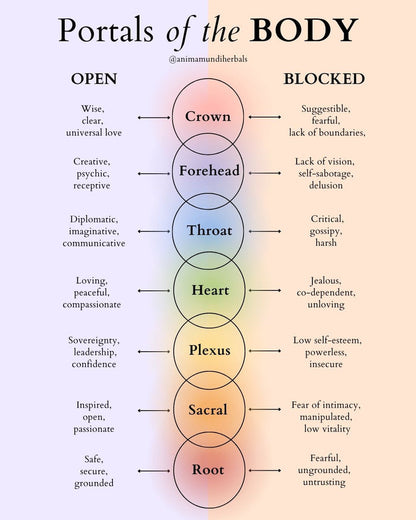 Portals of the Body
