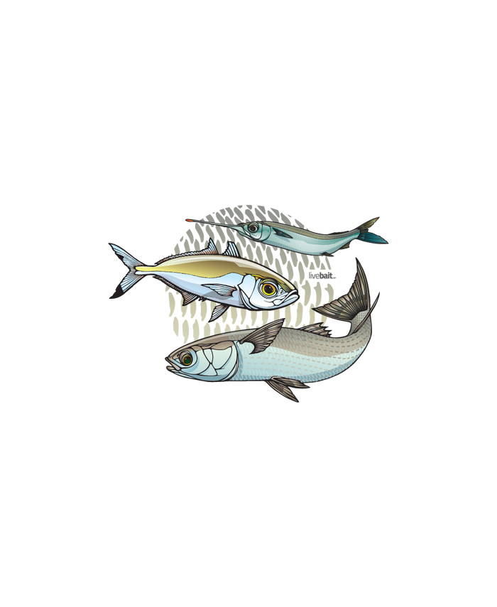 Pro Baiter Long Sleeve </br>Hood - LiveBait.com