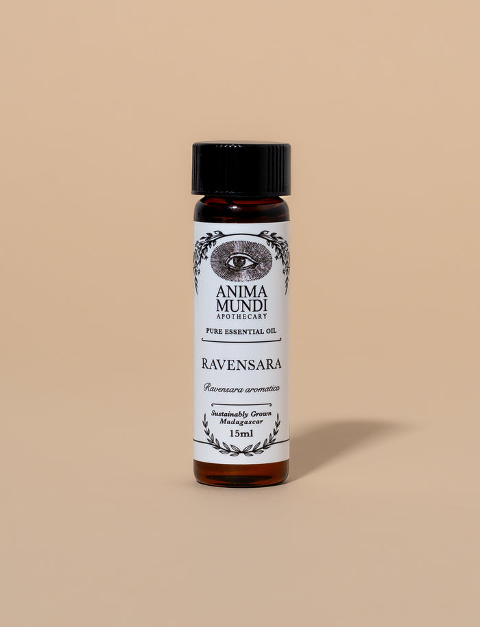 RAVENSARA Essential Oil | Sustainably Cultivated