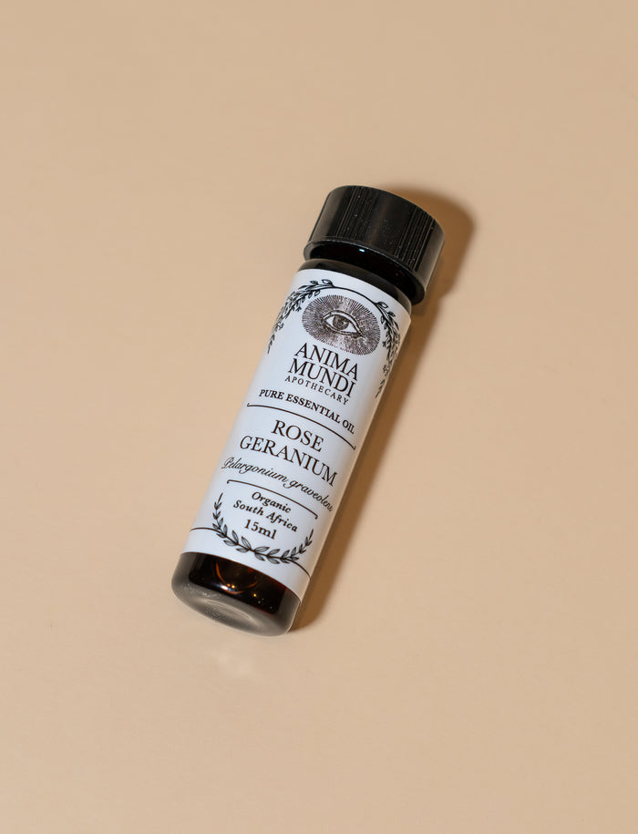 ROSE GERANIUM Essential Oil | Organic