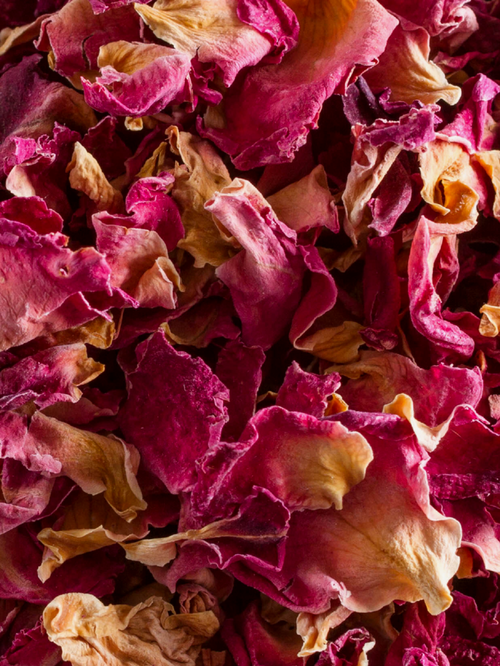 Rose Petals