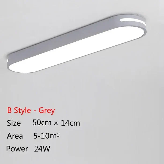 B Style Gray  50cm / Trichromatic light