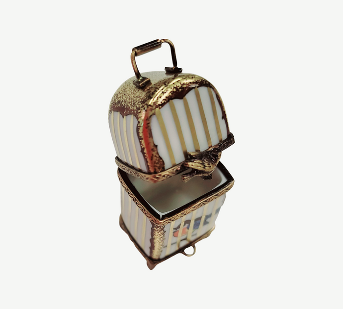 Bird in Cage Limoges Box Porcelain Limoges parakeets bird garden home French Trinket Box
